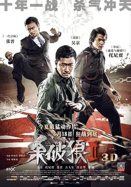 【动作片】杀破狼2